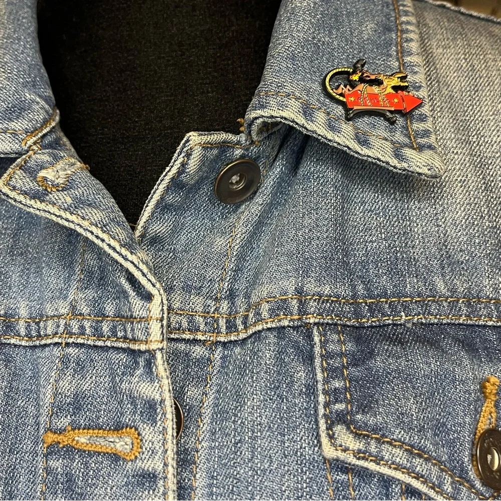 Classic Looney Tunes Animation Collectible Wile E. Coyote Character Pin - Picture 2 of 5